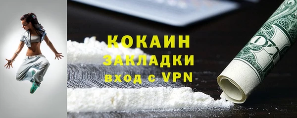твердый Михайлов