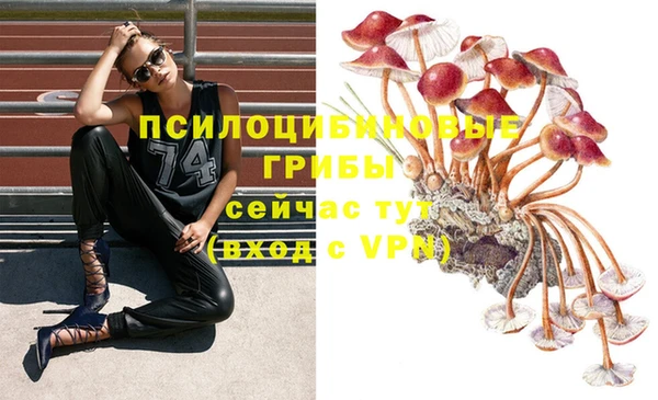 марки lsd Михайловск