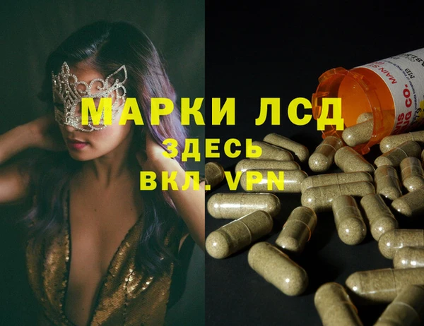 твердый Михайлов