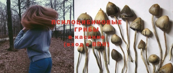 ешки Навашино