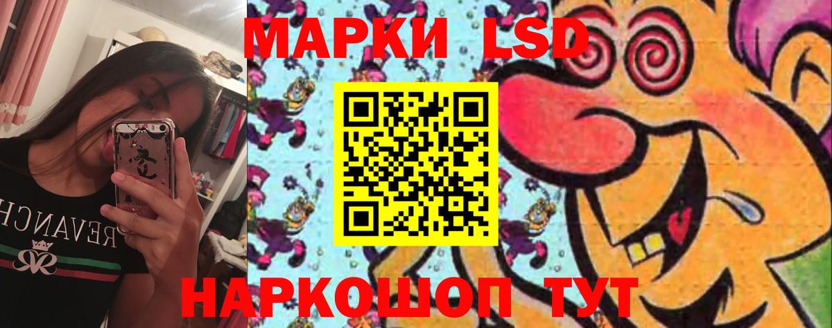LSD-25 экстази ecstasy  LSD-25 экстази  Новозыбков  Вход с VPN 