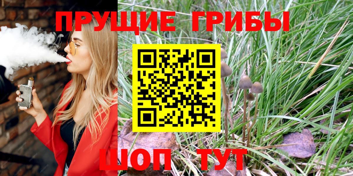 Псилоцибиновые грибы ЛСД Новозыбков