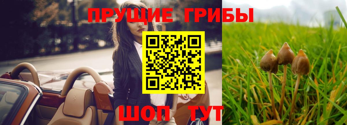 Галлюциногенные грибы Psilocybe  Вход с VPN  Псилоцибиновые грибы прущие грибы  Новозыбков 
