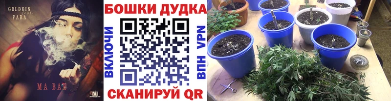 МАРИХУАНА MAZAR Новозыбков