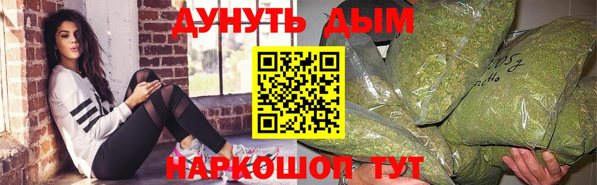 Конопля сатива Новозыбков